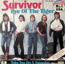 Survivor - survivor eye.jpg